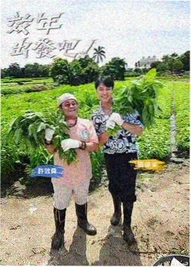 我独自生活 韩综